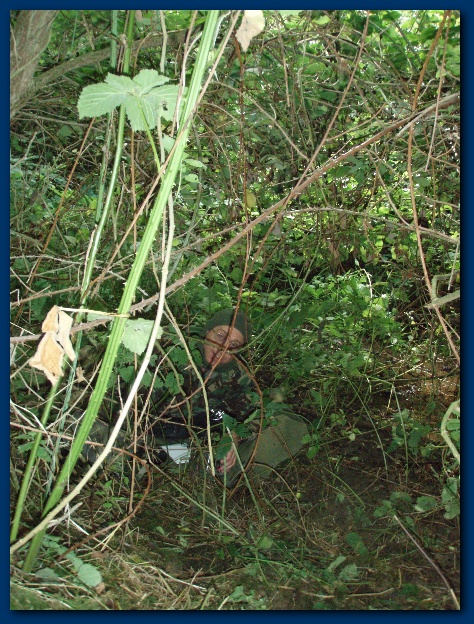 450x599 pixels (212K)